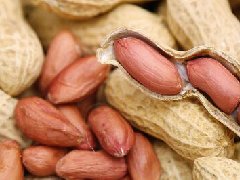 2023年花生主要病虫害防控技术方案